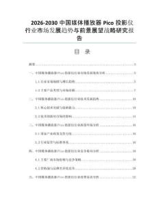 2026-2030中国媒体播放器Pico投影仪行业市场发展趋势与前景展望战略研究报告