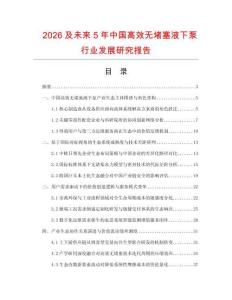 2026及未来5年中国高效无堵塞液下泵行业发展研究报告