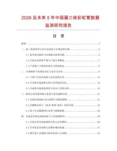 2026及未来5年中国扁三线彩虹管数据监测研究报告.docx