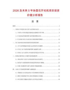 2026及未来5年杂型石开坑机项目投资价值分析报告