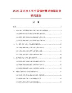 2026及未来5年中国镭射棒球数据监测研究报告.docx