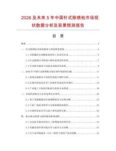 2026及未来5年中国针式除锈枪市场现状数据分析及前景预测报告.docx