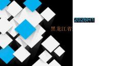 2026H1黑龙江省汽车市场分析报告