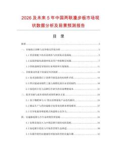 2026及未来5年中国两联漫步板市场现状数据分析及前景预测报告.docx
