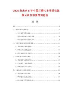2026及未来5年中国打磨片市场现状数据分析及前景预测报告.docx