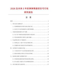 2026及未来5年彩弹弹筒袋项目可行性研究报告.docx