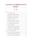 2026及未来5年火箭炮射灯项目可行性研究报告.docx