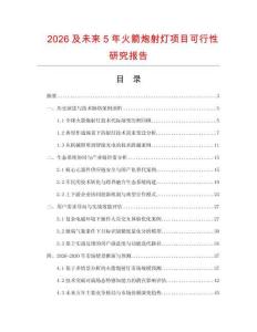 2026及未来5年火箭炮射灯项目可行性研究报告.docx