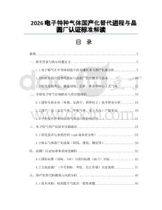2026电子特种气体国产化替代进程与晶圆厂认证标准解读