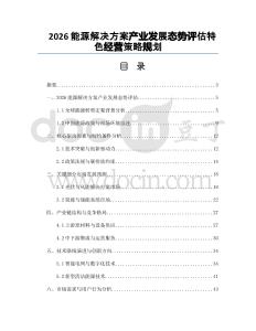 2026能源解决方案产业发展态势评估特色经营策略规划