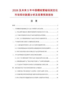 2026及未来5年中国螺线管磁场测定仪市场现状数据分析及前景预测报告.docx