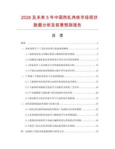 2026及未来5年中国热轧角铁市场现状数据分析及前景预测报告.docx