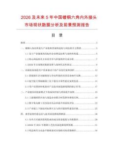 2026及未来5年中国镀铜六角内外接头市场现状数据分析及前景预测报告.docx