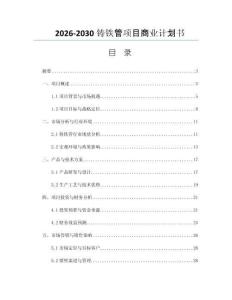 2026-2030铸铁管项目商业计划书