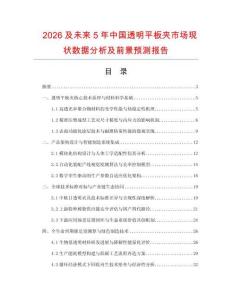 2026及未来5年中国透明平板夹市场现状数据分析及前景预测报告.docx