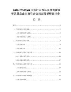 2026-2030CNG钢瓶行业市场现状供需分析及重点企业投资评估规划分析研究报告