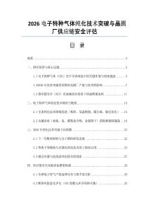 2026电子特种气体纯化技术突破与晶圆厂供应链安全评估