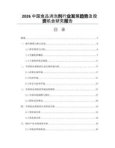 2026中国食品消泡剂行业发展趋势及投资机会研究报告