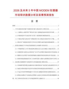 2026及未来5年中国MODEM防雷器市场现状数据分析及前景预测报告.docx