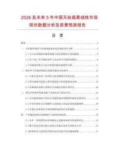 2026及未来5年中国天丝超柔绒线市场现状数据分析及前景预测报告.docx