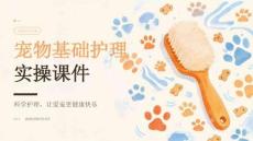 宠物基础护理实操课件