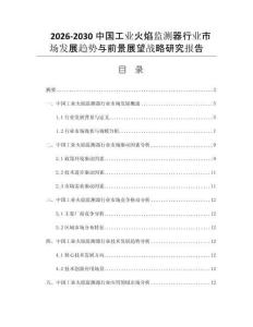 2026-2030中国工业火焰监测器行业市场发展趋势与前景展望战略研究报告