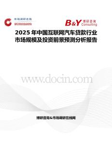 2025年中国互联网汽车贷款行业市场规模及投资前景预测分析报告