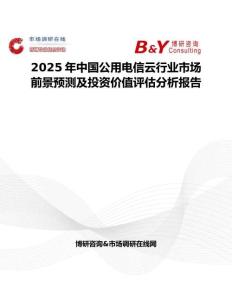 2025年中国公用电信云行业市场前景预测及投资价值评估分析报告