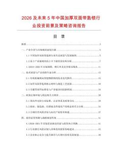 2026及未来5年中国加厚双面带匙锁行业投资前景及策略咨询报告