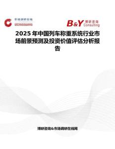 2025年中国列车称重系统行业市场前景预测及投资价值评估分析报告