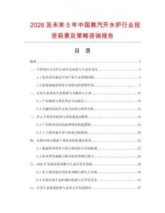 2026及未来5年中国蒸汽开水炉行业投资前景及策略咨询报告