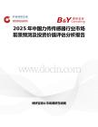 2025年中国力传传感器行业市场前景预测及投资价值评估分析报告