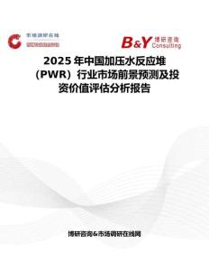 2025年中国加压水反应堆（PWR）行业市场前景预测及投资价值评估分析报告