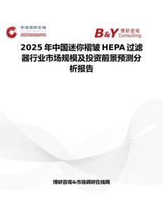 2025年中国迷你褶皱HEPA过滤器行业市场规模及投资前景预测分析报告