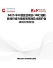2025年中国混合现实(MR)智能眼镜行业市场前景预测及投资价值评估分析报告