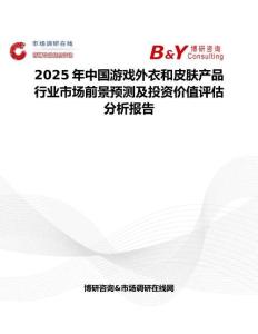 2025年中国游戏外衣和皮肤产品行业市场前景预测及投资价值评估分析报告