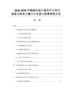 2026-2030中国碳化硅单晶片行业市场深度调研及发展趋势与投资前景研究报告