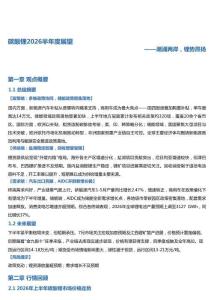 碳酸锂2026半年度展望：潮涌两岸，锂势昂扬