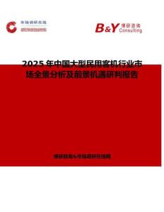 2025年中国大型民用客机行业市场全景分析及前景机遇研判报告