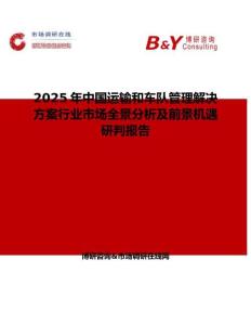 2025年中国运输和车队管理解决方案行业市场全景分析及前景机遇研判报告