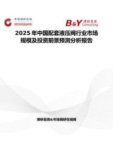 2025年中国配套液压阀行业市场规模及投资前景预测分析报告
