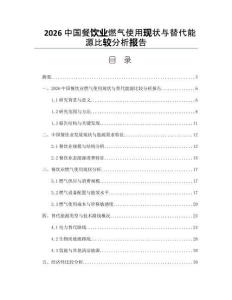 2026中国餐饮业燃气使用现状与替代能源比较分析报告