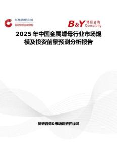 2025年中国金属螺母行业市场规模及投资前景预测分析报告