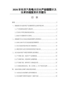2026新能源汽车电池回收产业链现状及技术路线发展前景报告