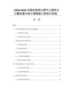 2026-2030中国垃圾焚烧烟气处理市场发展机遇与投资策略建议研究报告版