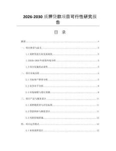 2026-2030质押贷款项目可行性研究报告
