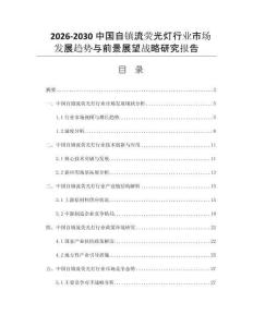 2026-2030中国自镇流荧光灯行业市场发展趋势与前景展望战略研究报告
