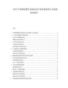 2025中国烟花爆竹危险标识行业政策演变与市场规范化报告.docx