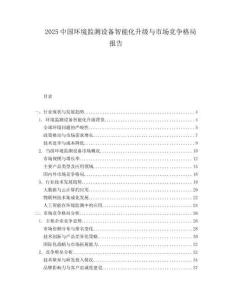 2025中国环境监测设备智能化升级与市场竞争格局报告.docx