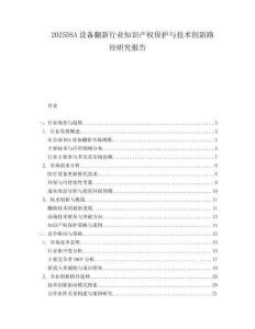 2025DSA设备翻新行业知识产权保护与技术创新路径研究报告.docx